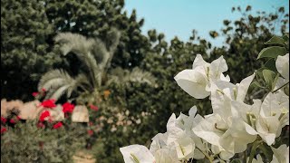 آهنگ بلوچی شبیر سید زمستانا کوتا حلوت       