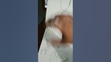 Sketchpad reveal! ( special for 30+ Subs! )