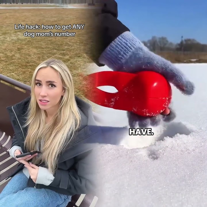 Thank me later #dogs #dogtok #funnydog #dogsoftiktok #foryou