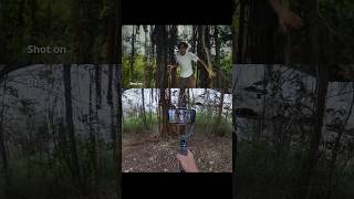 DJI Osmo Mobile 8P | One Take. No Cuts. Just Cinema. 🌲🎬