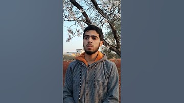 فَلَا خَوْفٌ عَلَيْهِمْ  - القارئ: محمد دياب
