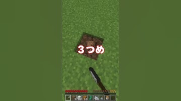 きっと友達に自慢できるマイクラの裏技３選！ #マイクラ #裏技 #shorts