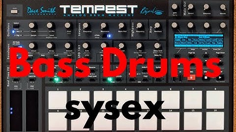 DSI Tempest - Bass Drums