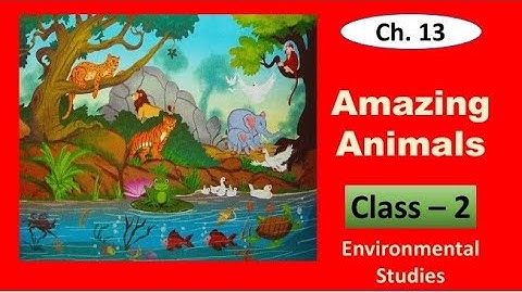 Amazing Animals | Environmental Studies Class 2 | Ch. 13 | Homes of Wild Animals | Food Animals Eat