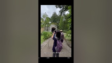 Even Monkeys Fall From Trees