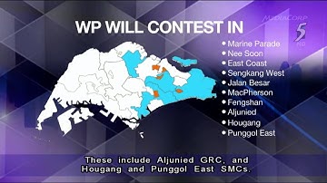 Opposition highlighted influx of foreigners as a key concern for S