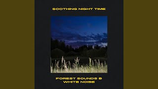 Summer Storms, White Noise (Loopable)