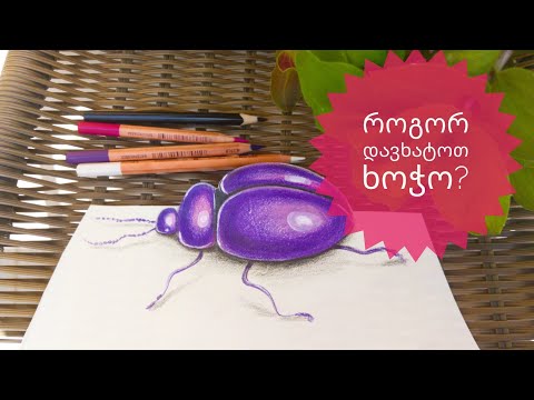 როგორ დავხატოთ 3D ხოჭო? • how to paint a 3D beetle