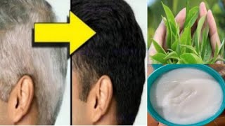 My 45 Years Brother Applied Natural Dye Once A Week & Covered White Hair Naturally | White Hair Dye