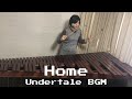 【marimba】Home - Undertale BGM (アンダーテールBGM)【マリンバ】