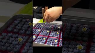 Asian Street Food Blueberry Tiramisu