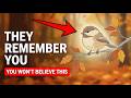 “Why Birds Follow You (The Truth Will Shock You)”