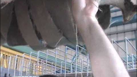 LaborSave Opening green coffee sacks