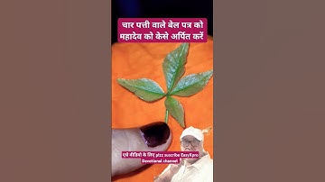 #प्रदीप मिश्रा #4 patti k bel ptra #चार #पत्ती बेल पत्र 4patti#बिल पत्र #char patti  #5 पत्ती 3पत्ती