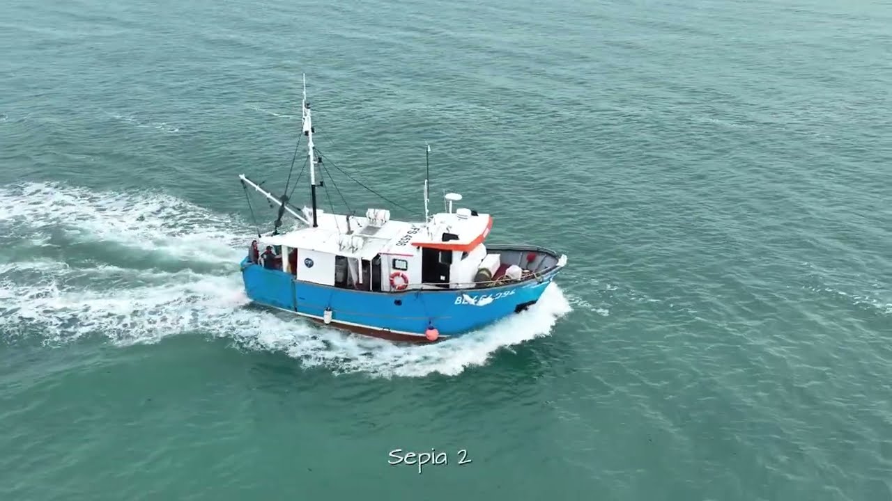 Bateaux de pêche à  Boulogne sur mer