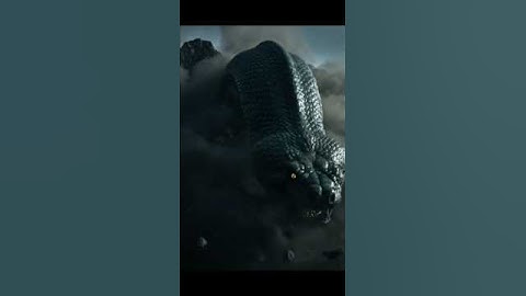 A Big Snake Attack Poor Caw