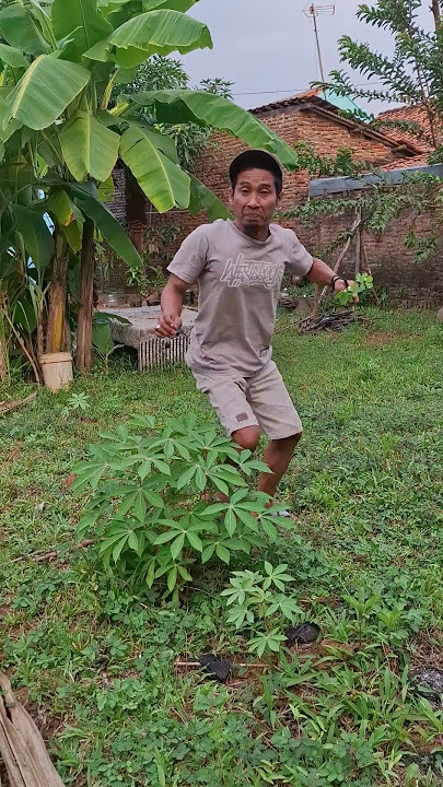 Mau ketawa takut dosa video lucu bikin ngakak hiburan warga 62 funny videos #funny #shorts #viral