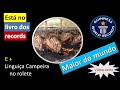 É o maior do mundo... E gostoso!