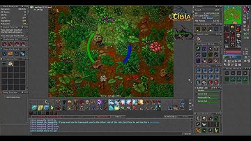 Midnight Panther - tammed Quintera