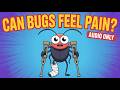 Can Bugs Feel Pain? | Audio Podcasts For Kids