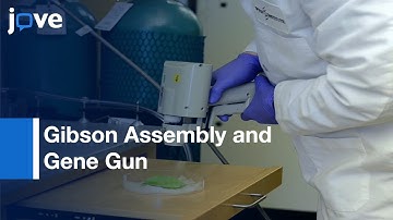 Gibson Assembly and Gene Gun for Gene Expression | Protocol Preview