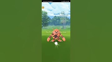 CATCHING 100 IV SHINY ELECTABUZZ  |  POKÉMON GO