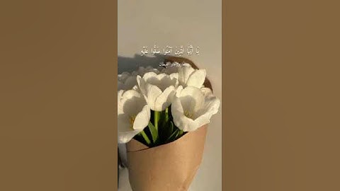 إن الله وملائكته يصلون على النبي ﷺ #تلاوة_خاشعة #النبي_صلى_الله_عليه_وسلم #تلاوات #ارح_قلبك #تلاوة