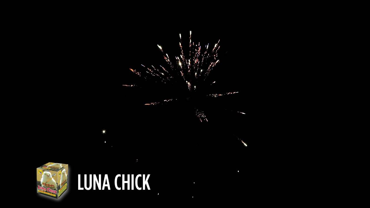Luna Chick Jake's Fireworks YouTube