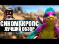 Синомакропс (Sinomacrops) в АРК. Лучший обзор: приручение, разведение и способности в ark.