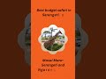 Affordable East Africa Safari Adventure – Serengeti, Ngorongoro &amp; Masai Mara  #kilieconomysafari
