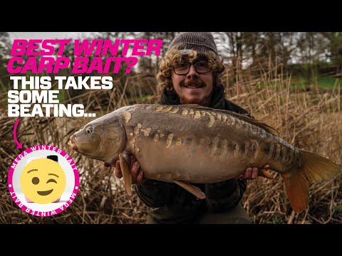 What's the best winter carp bait? This one takes some beating 