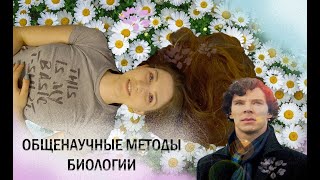 Урок 4 | Общенаучные методы в биологии. Анализ, синтез, индукция, дедукция, абстрагирование и т.д.