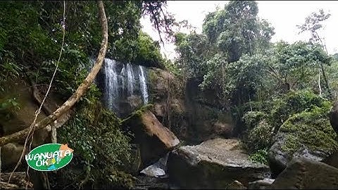 Pesona Sarang Burung Batu Lappa   Barru