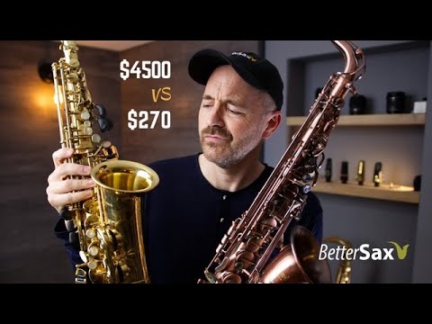 Cheapest Sax on Amazon VS My Professional Alto Saxophone