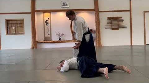 gyaku hamni katatedori sumiotoshi Birankai Sankyu (3rd Kyu) test variations