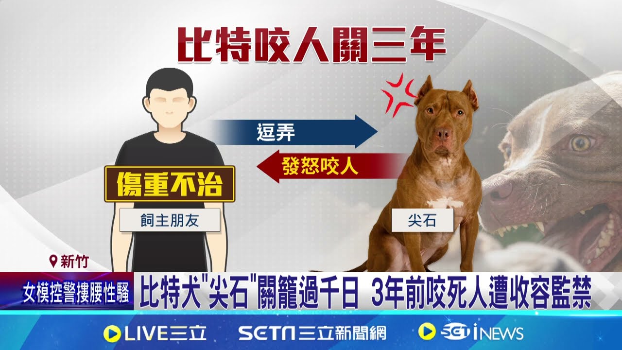 比特犬