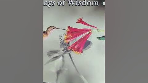 Class-8, Subject-Moral science, Video-5, Chapter-3, Part-1 by Mr Francis Paul