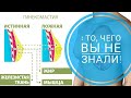 ГИНЕКОМАСТИЯ: то, чего вы не знали!