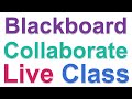 Black Board Collaborate and MAC