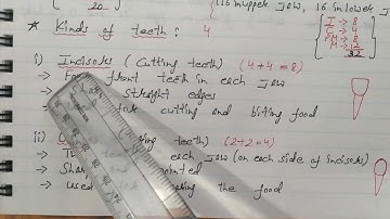 Class 4 Science... Ch 2 The Teeth (Part 1) (Ranu Yadav)