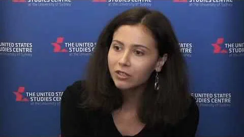 Post-9/11 literature and petro-fiction