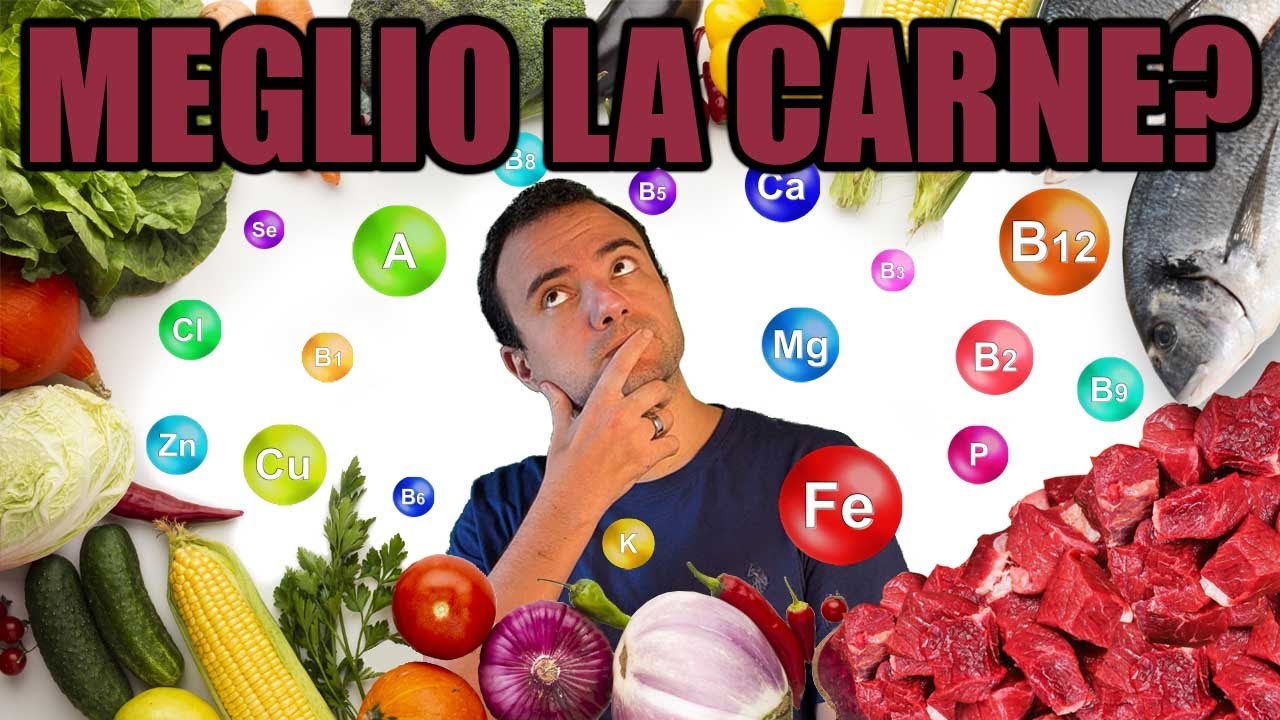 Qual è il CIBO PIÙ NUTRIENTE?