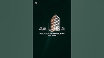 سورة الأنفال {الآية 27} بصوت الشيخ محمد المكيمي ❤️❤️