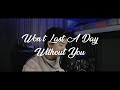 WON&#39;T LAST A DAY WITHOUT YOU (cover)