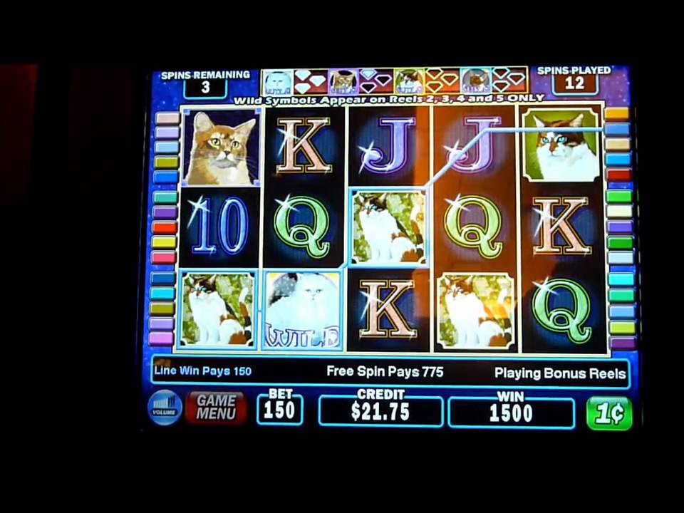 Kitty Glitter Slot Machine Bonus Win (queenslots) YouTube