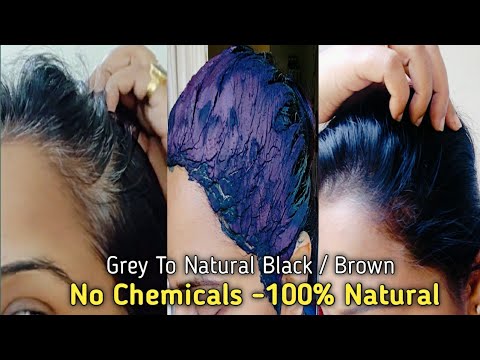 Natural Dyes - Indigo - Indigofera guatemalensis