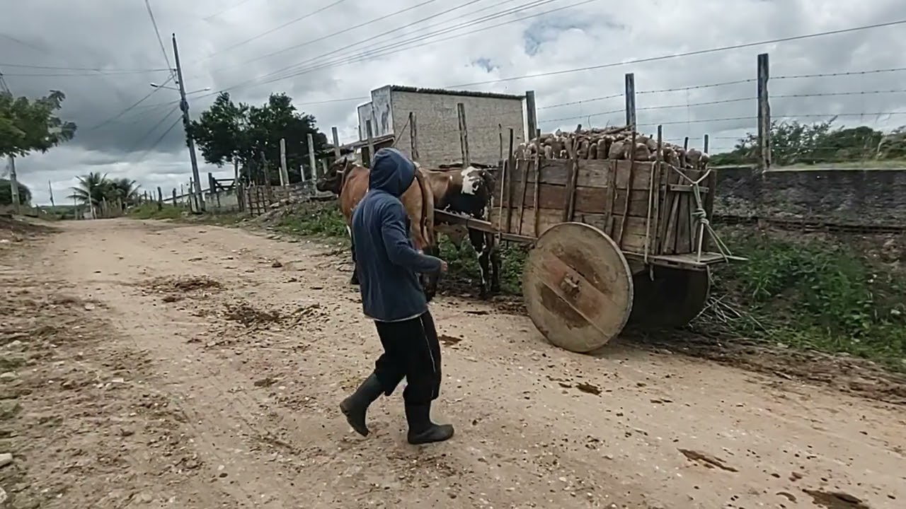 6 de outubro de 2025