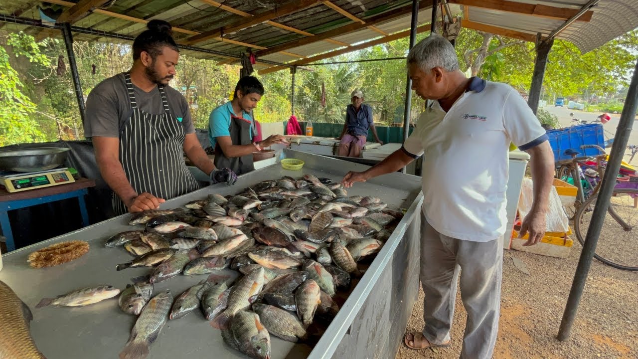You Won’t Believe How This Village Master Prepares a Fish!