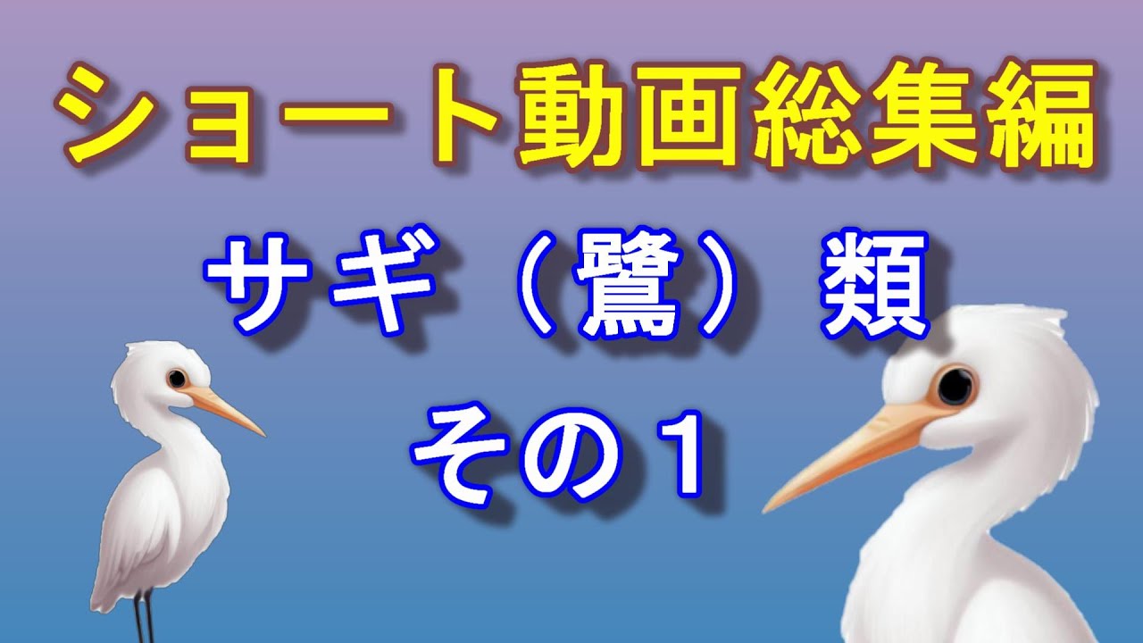 maxresdefault.jpg