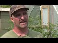 How Lettuce Farmers Are Responding to the Recent Cyclospora Outbreak